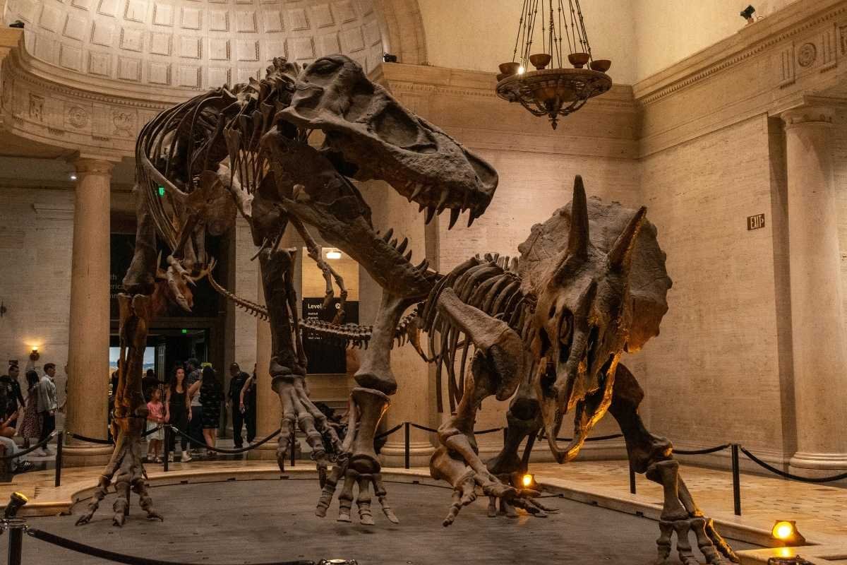 Science museums in winter become energy anchors for families with children.