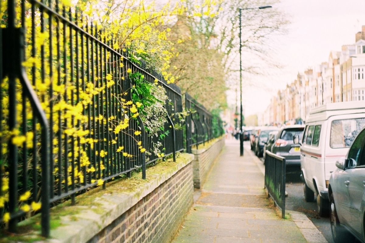 Quiet, residential London street near a park—an ideal family base with low noise and easy walks.