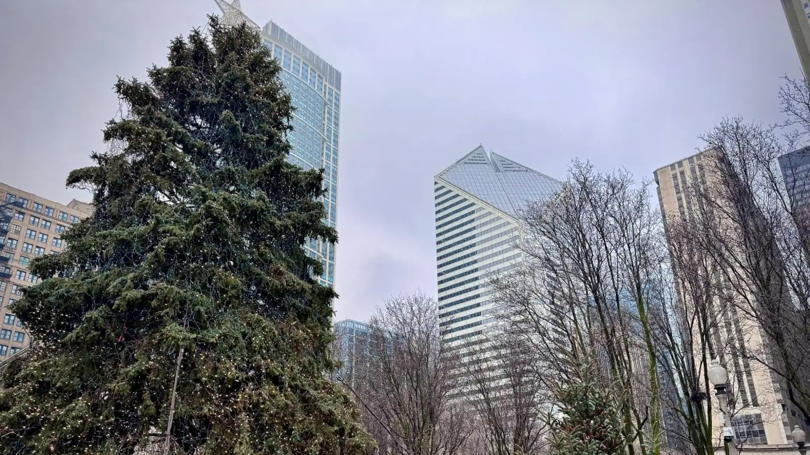 Large decorated Christmas tree surrounded by bare trees and tall buildings in Millennium Park.